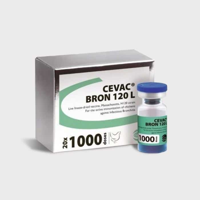 «CEBAK БРОН 120 L» вакцина против инфекционного бронхита кур живая