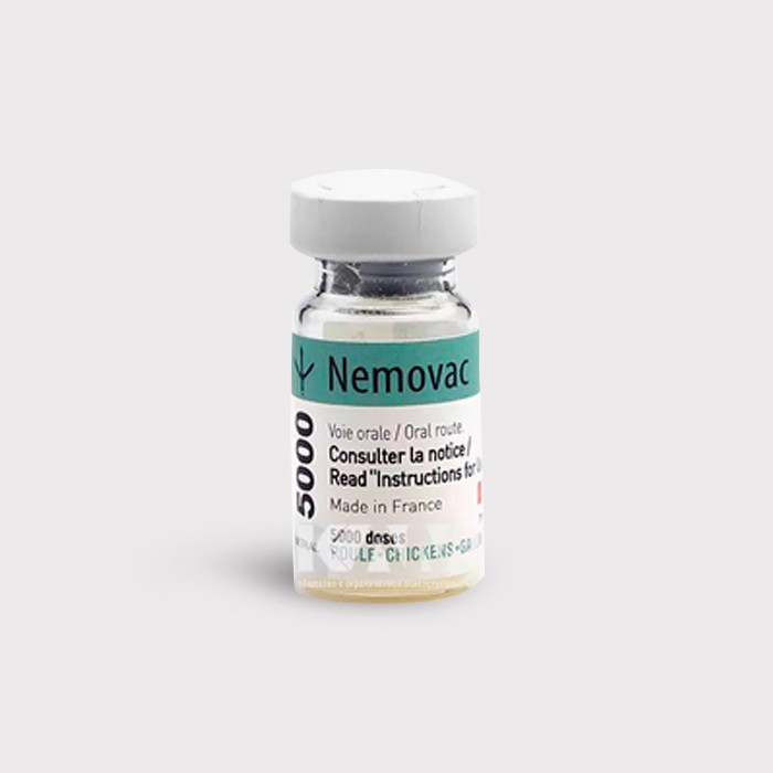 Немовак (Вакцина против пневмовирусной инфекции кур живая лиофилизированная)