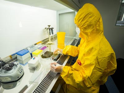 Создание вакцины от АЧС