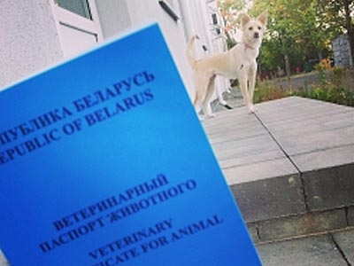 Ветеринарный паспорт Республики Беларусь