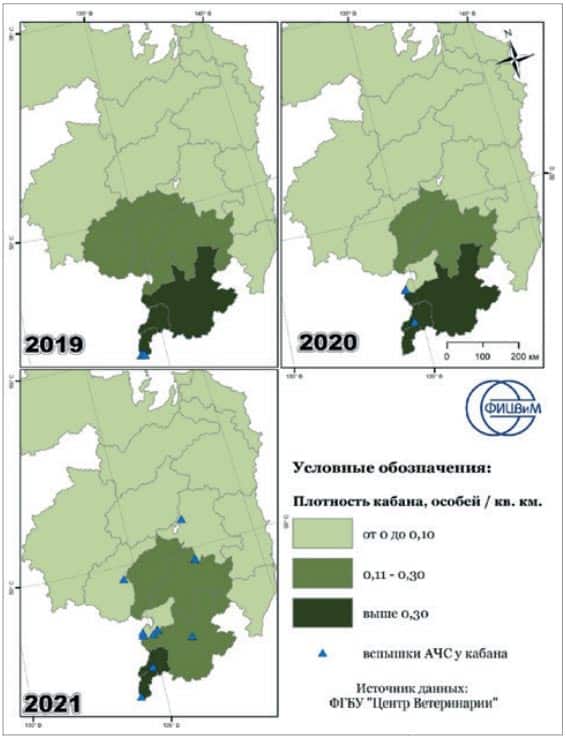 Развитие эпизоотической ситуации по АЧС в Хабаровском крае на фоне значений плотности популяции дикого кабана