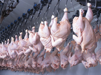 Россия вдвое нарастила экспорт мяса птицы в Саудовскую Аравию